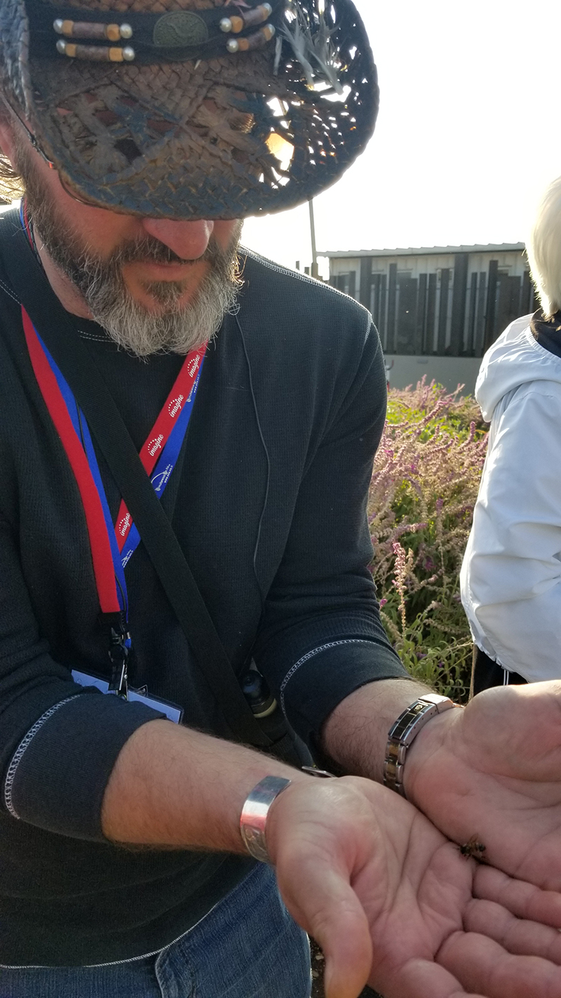 Michael holding a bee from the dream at Magdala